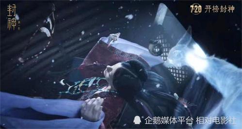 妲己的爆料视频在哪看啊,独家观看指南  第3张